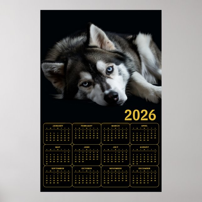 Poster Calendrier Husky sibérien 2026 (Devant)