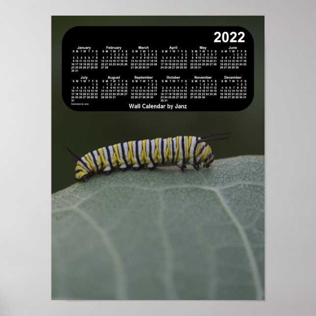 Poster Calendrier Monarch Caterpillar 2022 par Janz (Devant)