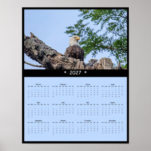 Poster Calendrier mural 2027 Aigle royal - Esprit en vol