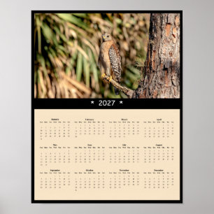 Poster Calendrier mural 2027 Buse à épaulettes - Forêt