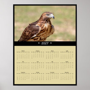 Poster Calendrier mural 2027 Buse à queue rousse - Raptor