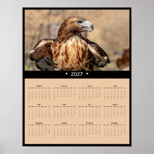 Poster Calendrier Mural 2027 Buse à queue rousse - Raptor