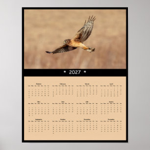 Poster Calendrier mural 2027 de la Busard Saint-Martin -