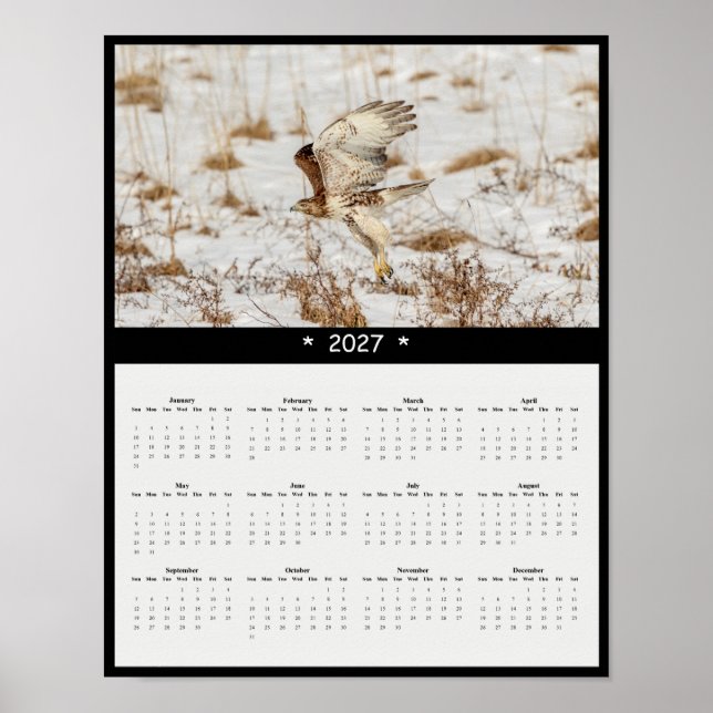 Poster Calendrier mural 2027 de la Buse à queue rousse -  (Devant)