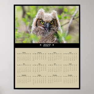 Poster Calendrier Mural 2027 Grand-duc d'Amérique : Gardi