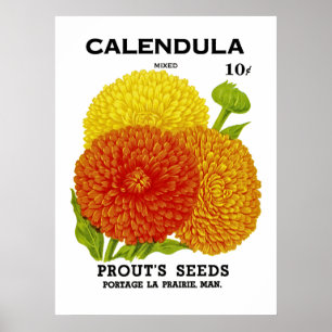 Poster Calendula Vintage Seed Packet