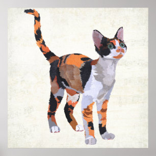 POSTER CALICO CAT