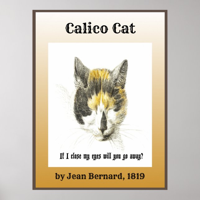 Poster Calico Cat 1819 (Devant)
