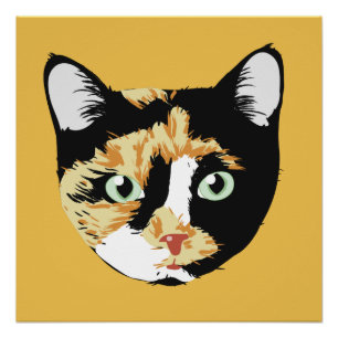 Poster Calico Cat Bonita