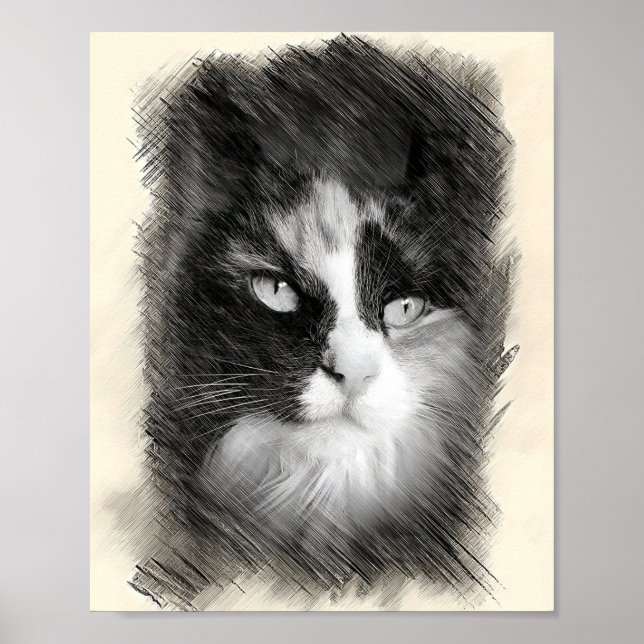 Poster Calico Cat Sketch Art - Feline Portrait Drawing (Devant)