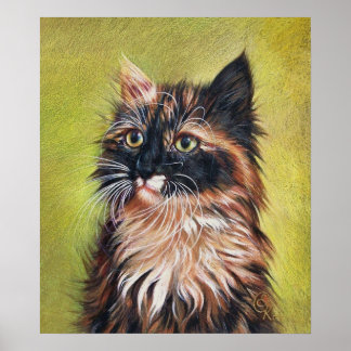 Poster Calico kitten