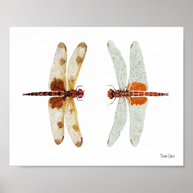 Poster Calico Pennant & Saddlebags Rouges (Devant)