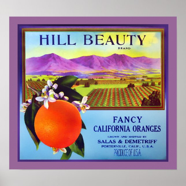 Poster California Oranges Fruit Publicité Imprimer (Devant)