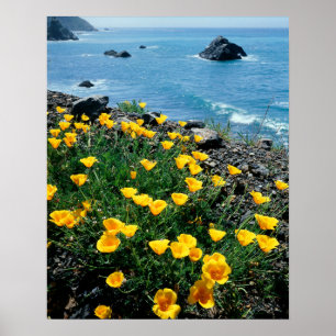 Poster Californie, côte Big Sur, Central Coast 1