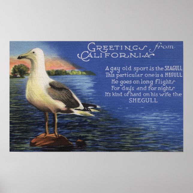 Poster Californie - Salutations de, Poème Seagull (Devant)