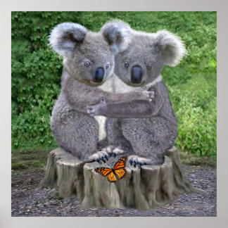 Poster Câlins de bébé koala