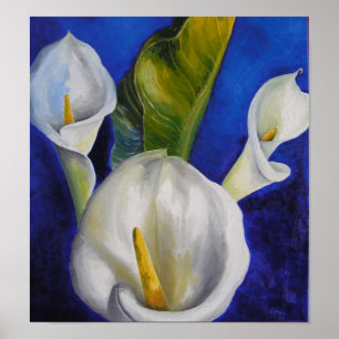 Poster calla lilly