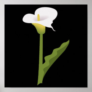 POSTER CALLA LILY