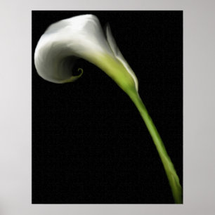 Poster Calla Lily Prints