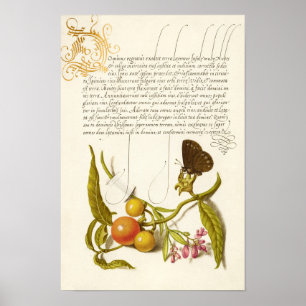 Poster Calligraphy gilded initial vintage plants ringlet
