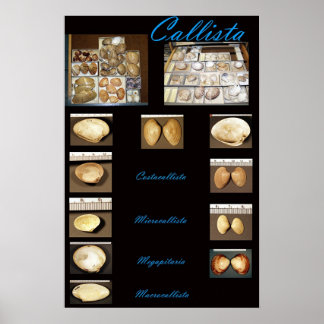 Poster Callista