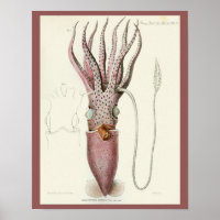 Calmar pourpre Céphalopod Mer Créatures Art Imprim