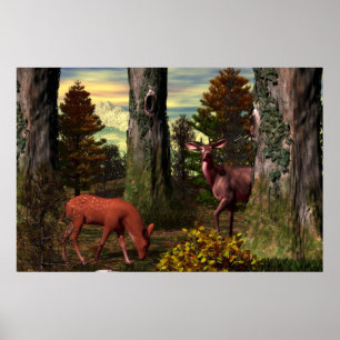 Poster Calme de forêt