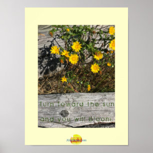 Poster Camano Island Washington Beach avec devis