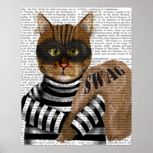 Poster Cambrioleur de chat