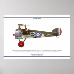 Poster Camel 43 Sqn