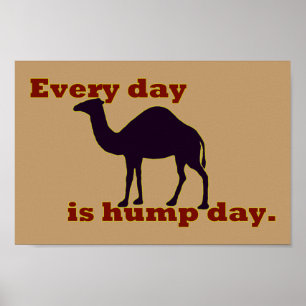 Poster Camel "Chaque jour c'est la Journée de la Humpe"