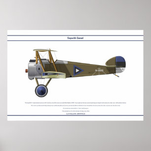Poster Camel Estonie