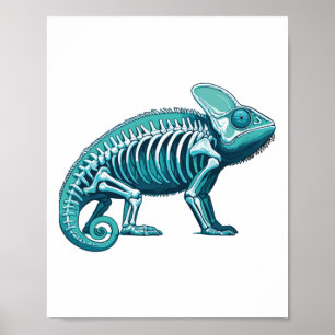 Poster Caméléon corps anatomie radiographie squelette à r
