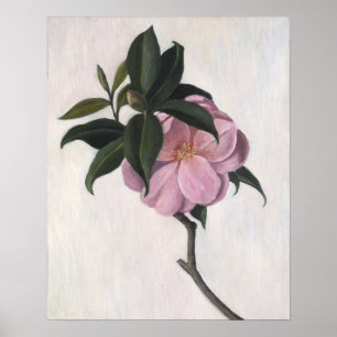 Poster Camellia 1998