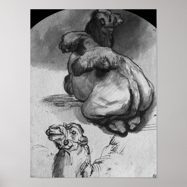 Poster Camels (Devant)