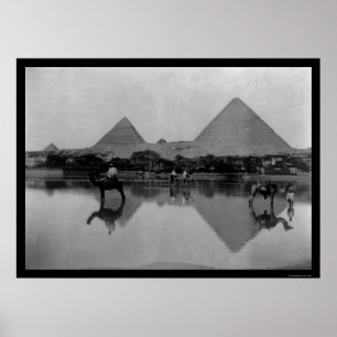 Poster Camels et Pyramides en Egypte 1899