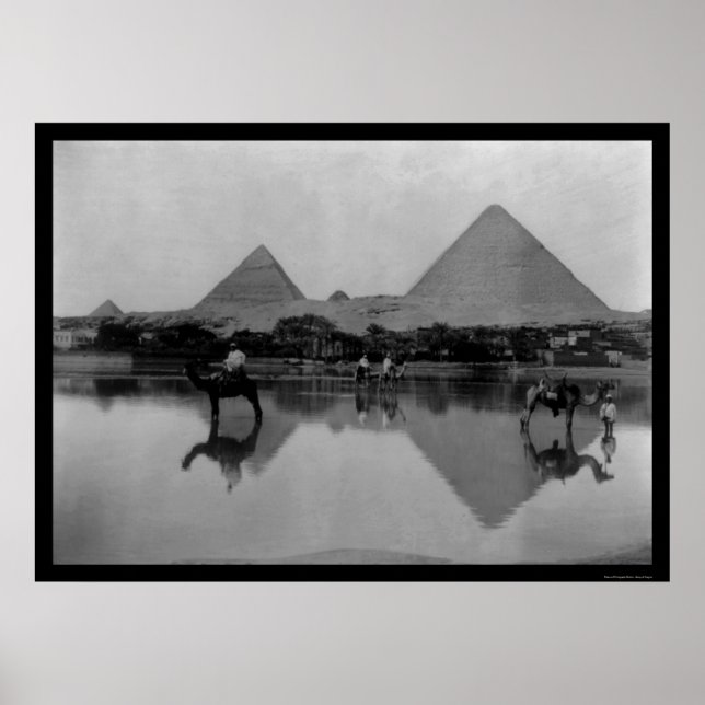 Poster Camels et Pyramides en Egypte 1899 (Devant)