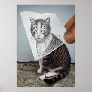 Poster Caméra Crayon Vs - 4 Yeux Chat