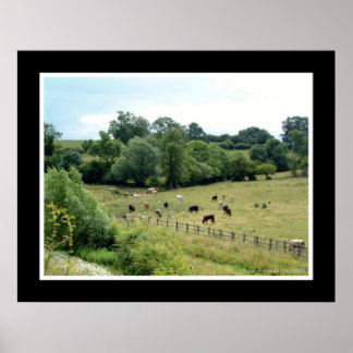 Poster Campagne anglaise