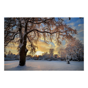 Poster Campagne D'Hiver En Lettonie