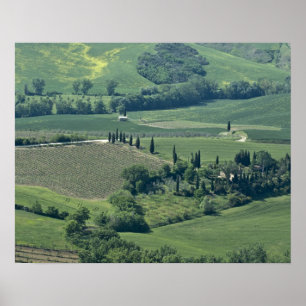 Poster Campagne près de Montepulciano, Val d'Orcia,