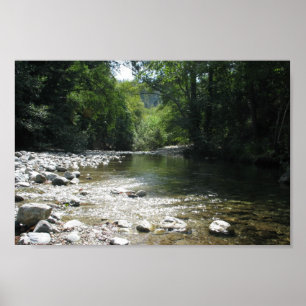 Poster Camping Big Sur - Flux À Travers Les Arbres