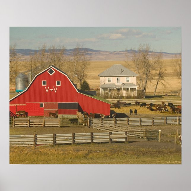 Poster Canada, Alberta, Pincher Creek : Red Barn & Ranch (Devant)