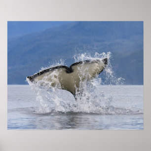 Poster Canada, British Columbia, Vancouver Island,