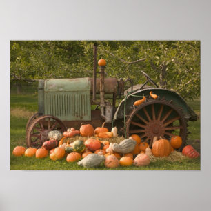 Poster CANADA, Colombie-Britannique, Keremeos. Automne /
