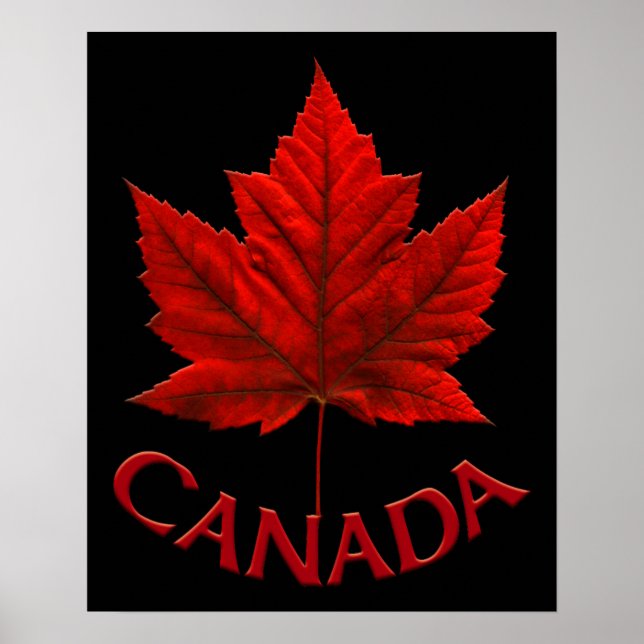 Poster Canada Souvenir Feuille d'érable du Canada  (Devant)