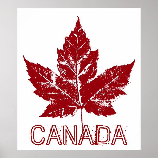 Poster Canada Souvenir Feuille d'érable du Canada  (Devant)