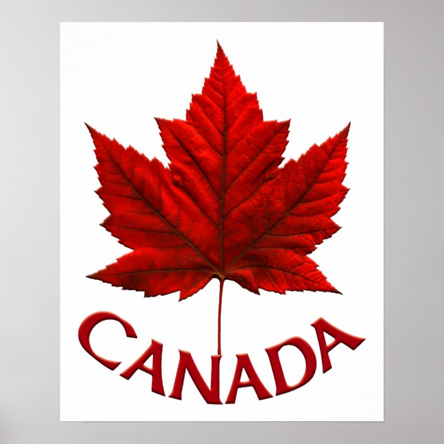 Poster Canada Souvenir Feuille d'érable du Canada  (Devant)