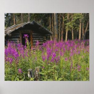 Poster Canada, Yukon, région de Ross River, cabane abando