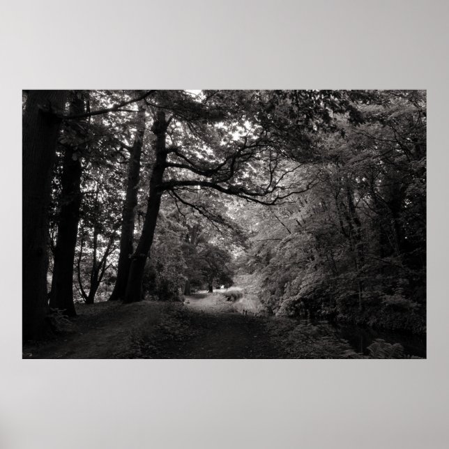 Poster Canal, Bute Park, Cardiff, Pays de Galles (Devant)